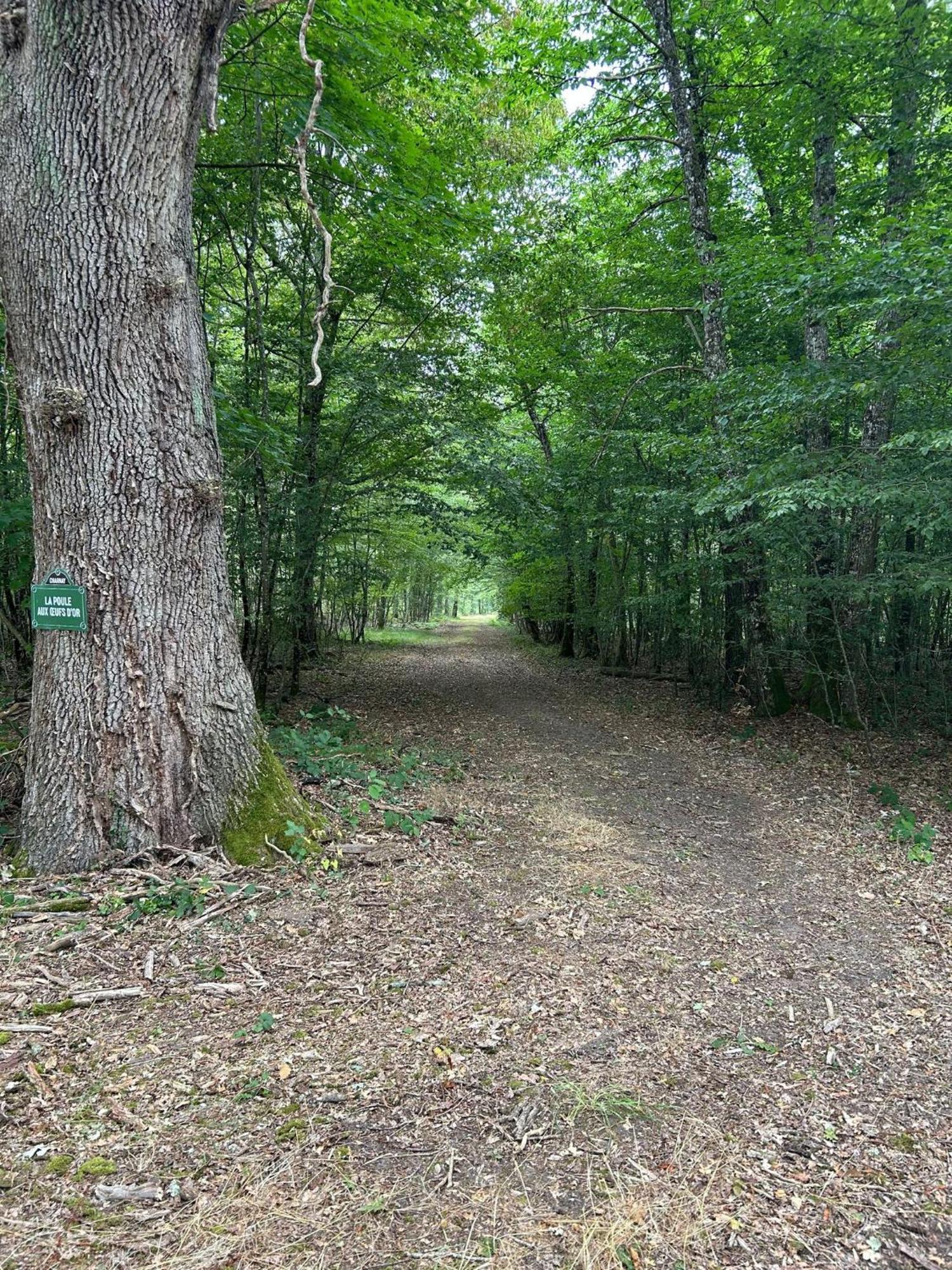 Domaine De Charnay - Charme Et Confort Dans Un Environnement D'Exception Vierzon Exterior foto