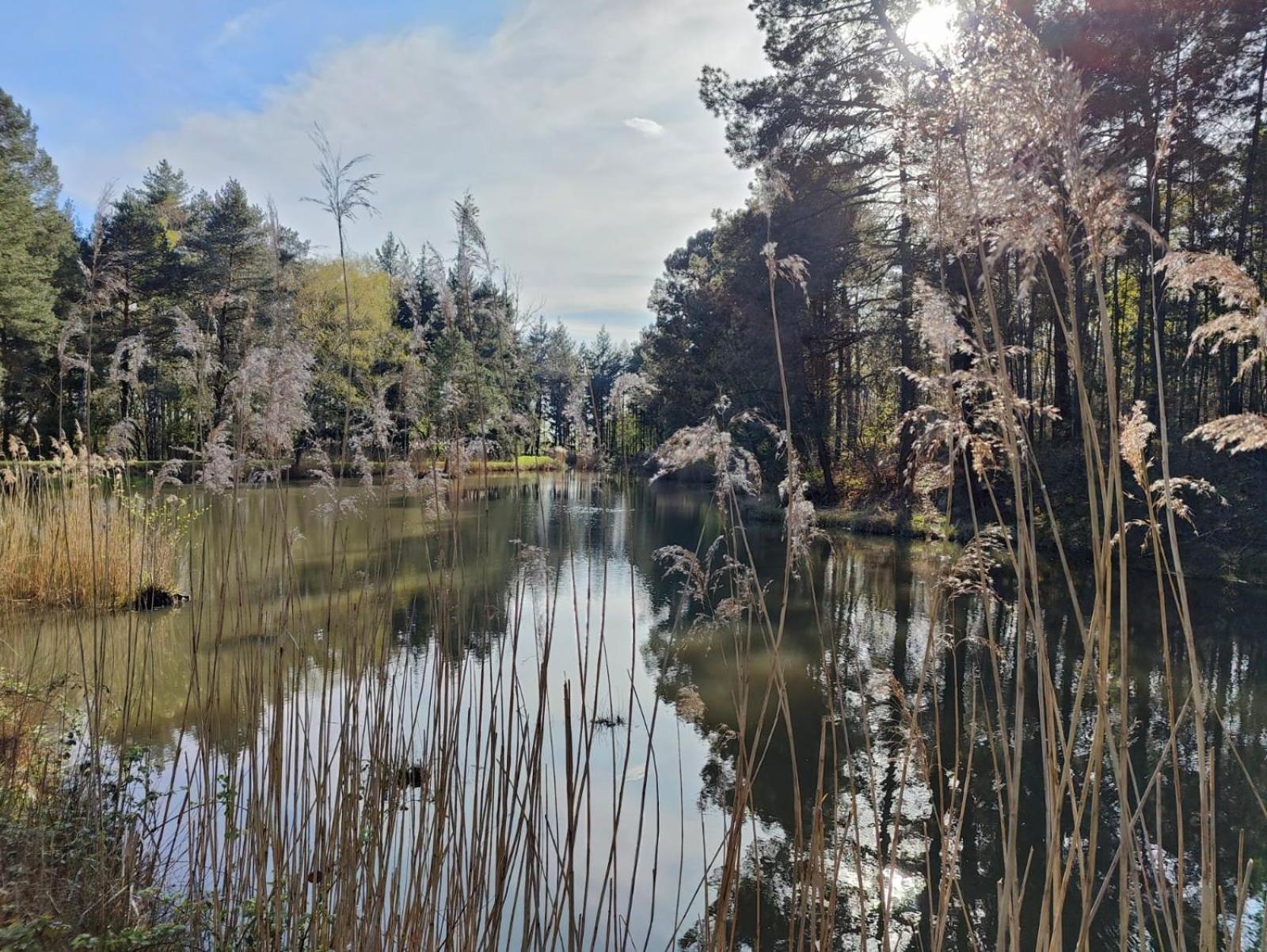 Domaine De Charnay - Charme Et Confort Dans Un Environnement D'Exception Vierzon Exterior foto